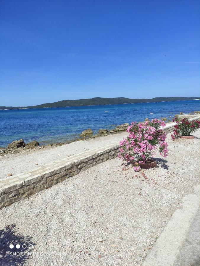 Apartmani Lana Sibenik Bagian luar foto